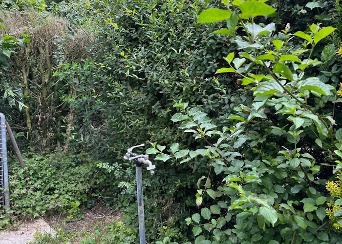 Fussball-hochburg! Gartenparadies Fuer Campen/zelten Luksusowy namiot Stuttgart