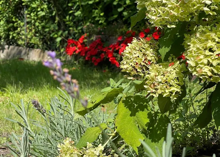 Luksusowy namiot Fussball-hochburg! Gartenparadies Fuer Campen/zelten Stuttgart