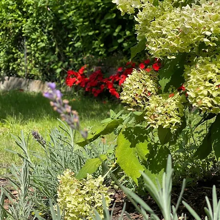 Lyxtält Fussball-hochburg! Gartenparadies Fuer Campen/zelten Stuttgart